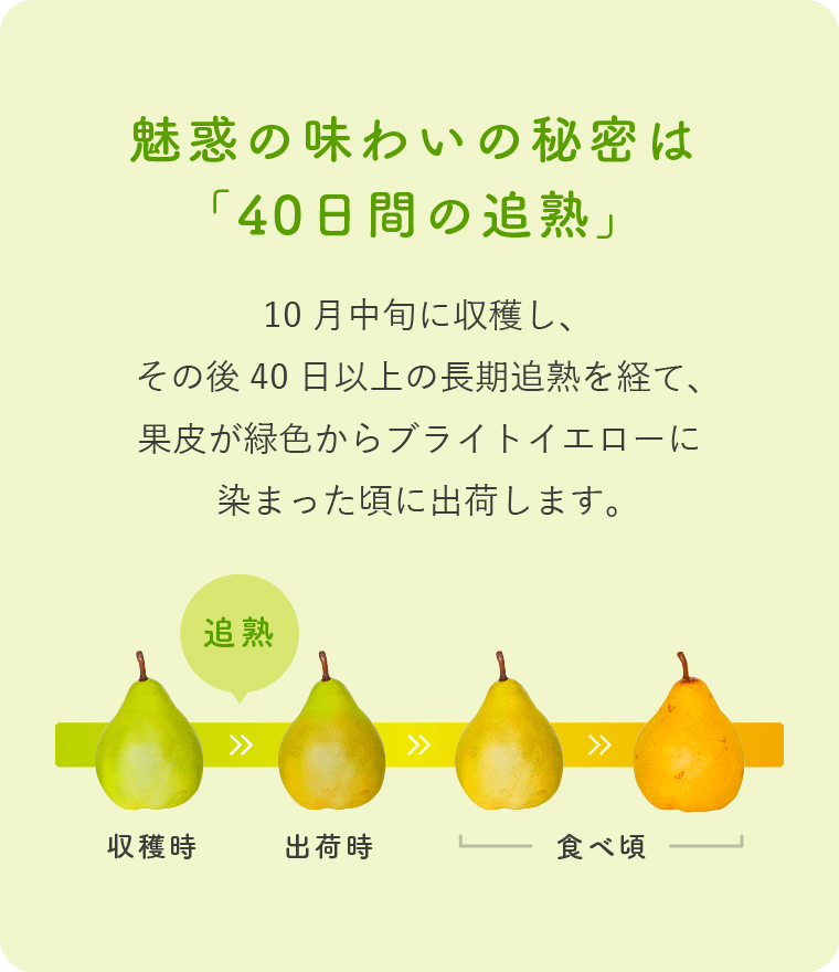 魅惑の味わいの秘密は「40日間の追熟」